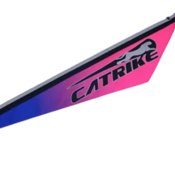PURPLE SKY BLUE/PINK FLAG