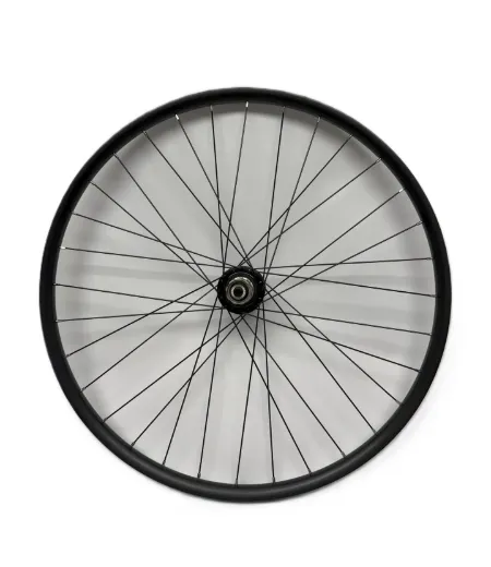 Catrike Rear Wheels