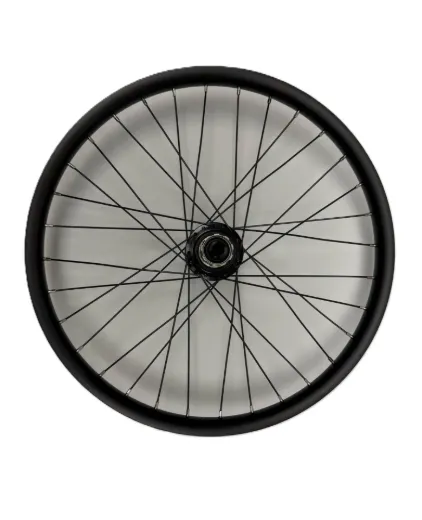Catrike Rear Wheels